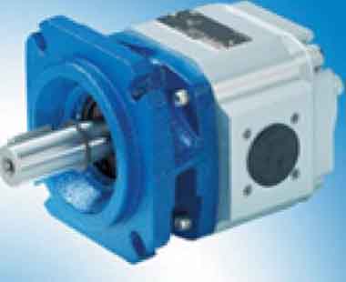 Internal Gear pump